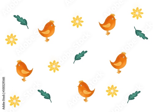 Set of colorful birds and flowers isolated on white background