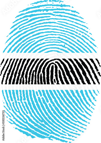 Illustration vectorisé de l'empreinte du drapeau du Botswana