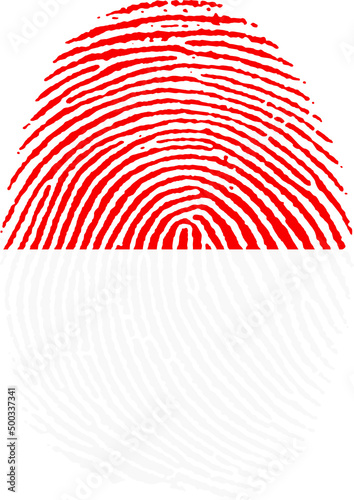 Illustration vectorisé de l'empreinte du drapeau de l'Indonésie