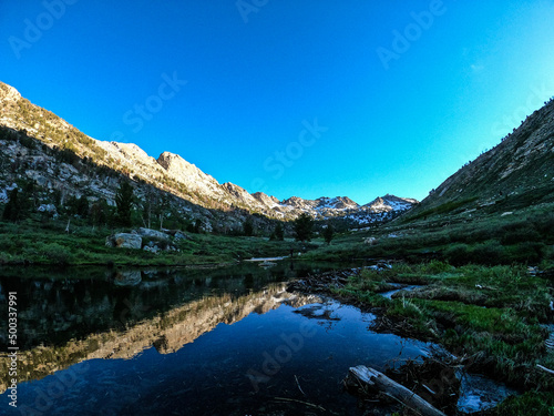 reflection in beaver pond at lamoille canyon  Nevada