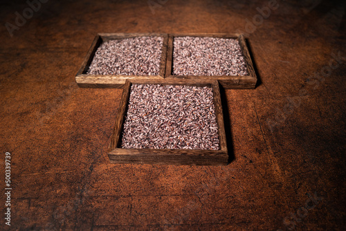 Black rice on square plates in dark light