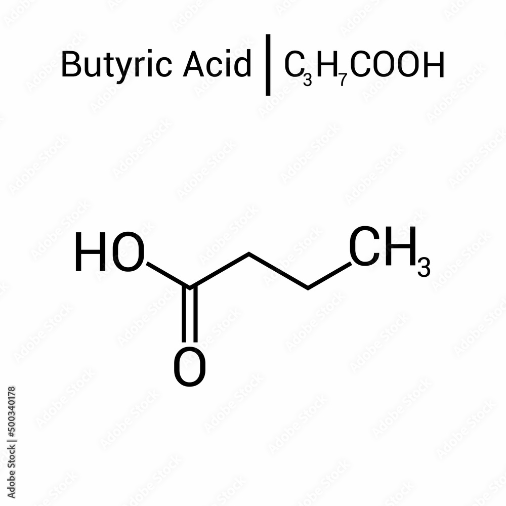 chemical structure of butyric acid (C3H7COOH) Stock Vector Adobe Stock