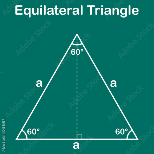 parts of an equilateral triangle