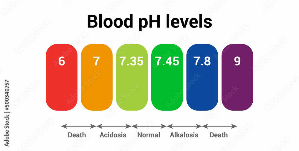 Human Blood PH Level Icon Stock Vector Adobe Stock