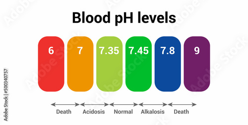 Human blood pH level icon