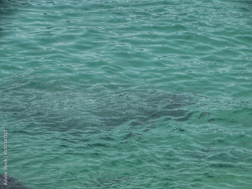 Clear and transparent blue sea water