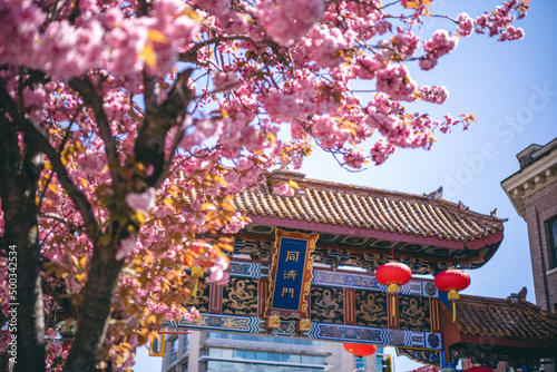 Spring in China town