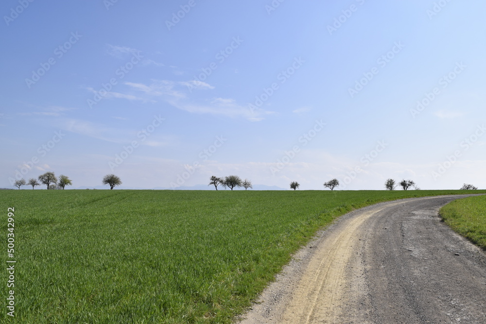 Peaceful landscape with road and fields