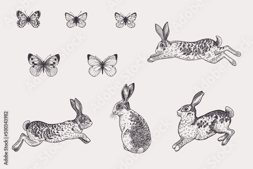 Set with rabbits and butterflies.