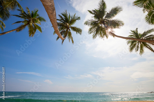 Fototapeta Naklejka Na Ścianę i Meble -  Tropical beach