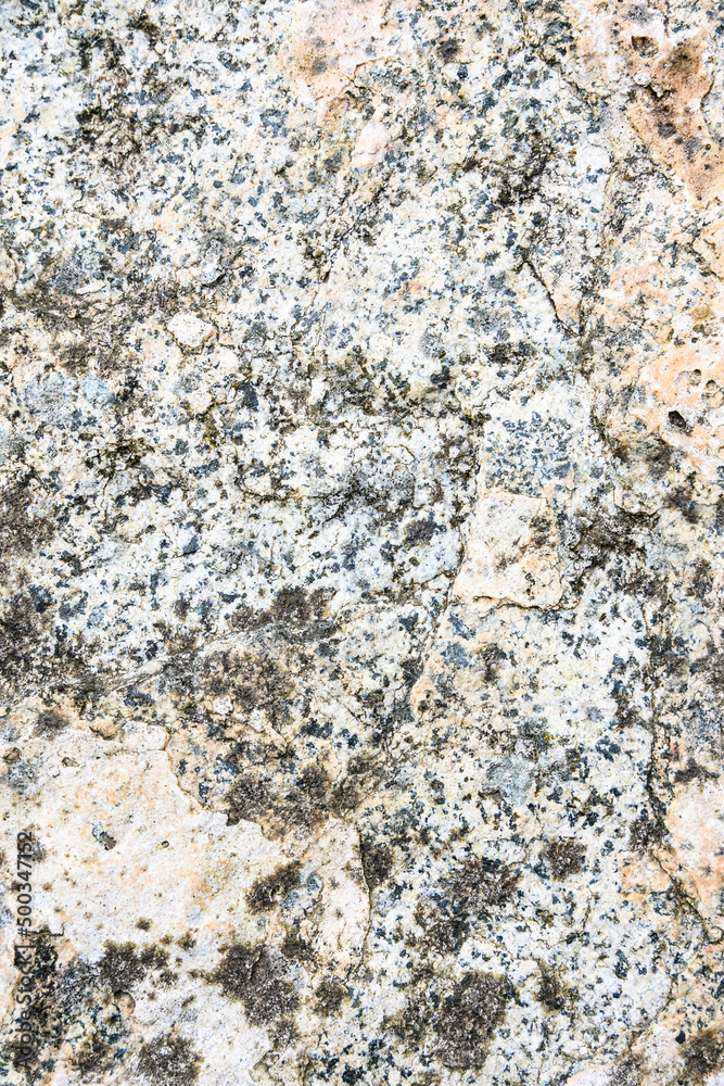 Textured rock in cream, orange, gray, and blue colors, and lichen, as a natural background
Textured rock in cream, orange, gray, and blue colors, and lichen, as a natural background
