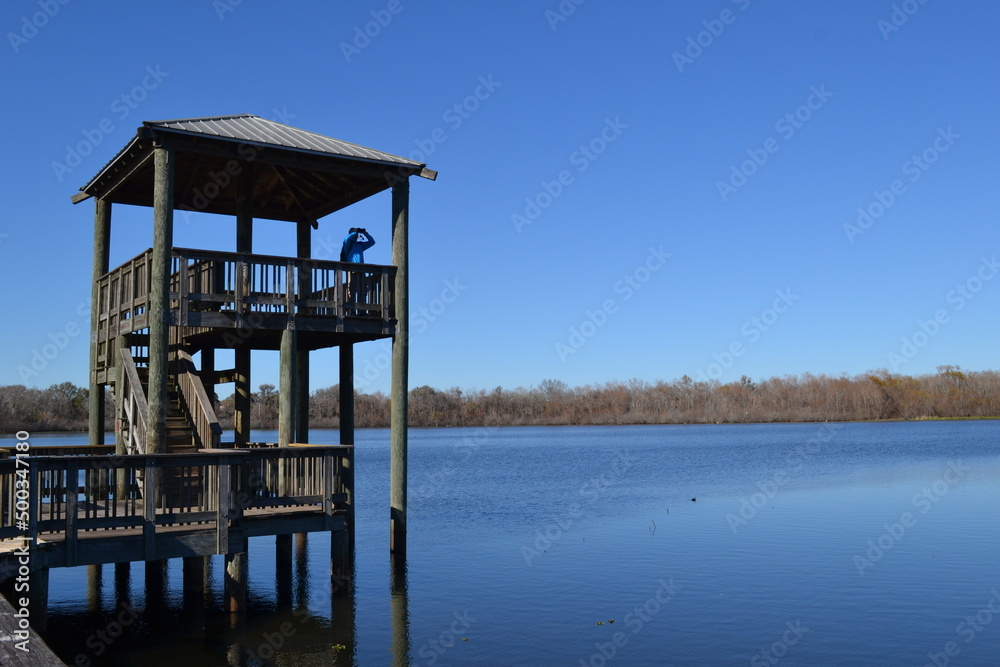 Bird watching from the tower on the fishing pier, White Lake, Cullinan Park