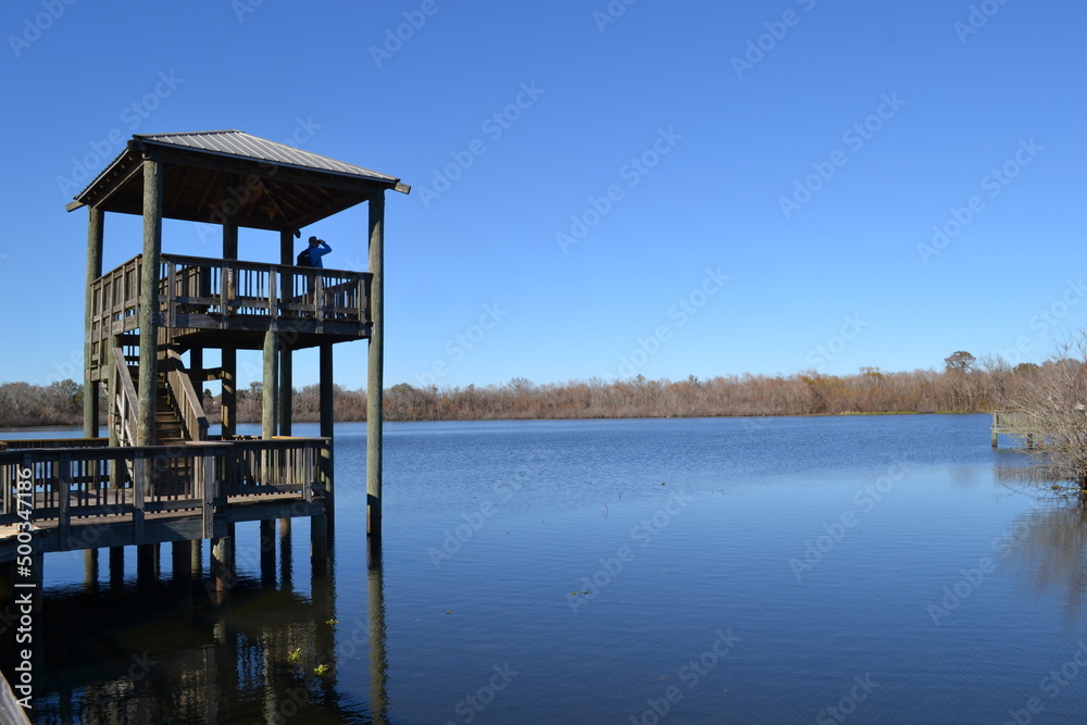 Bird watching from the tower on the fishing pier, White Lake, Cullinan Park
