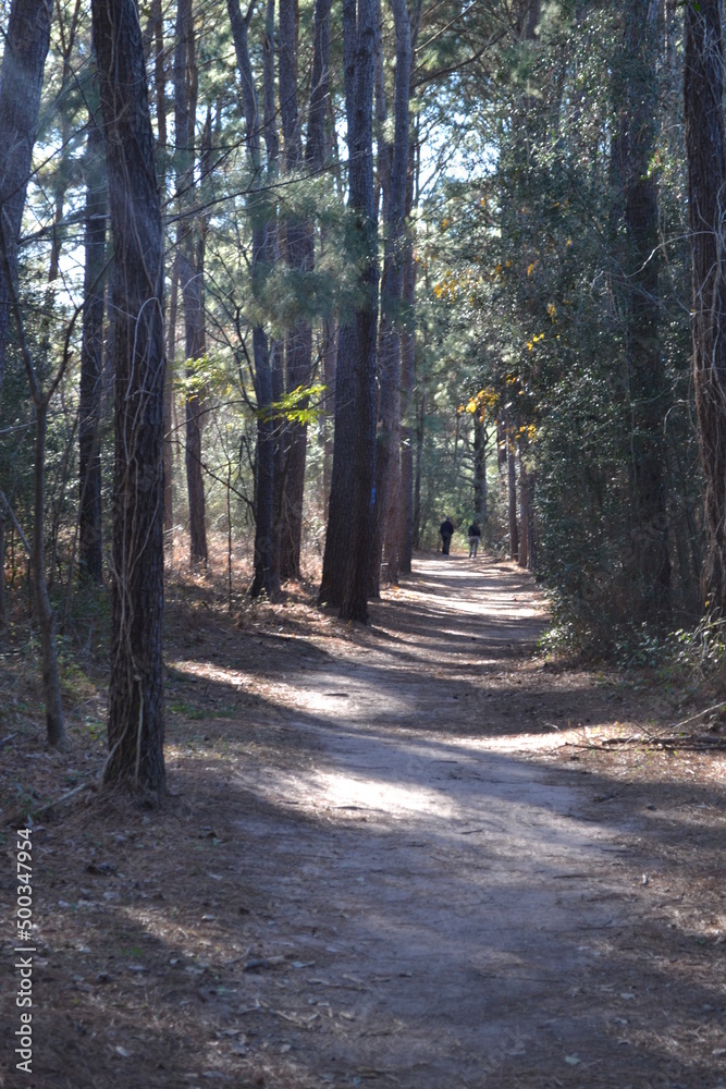 People are walking in the trail in Cullinan Park, Sugar Land, Texas People are walking in the trail in Cullinan Park, Sugar Land, Texas
