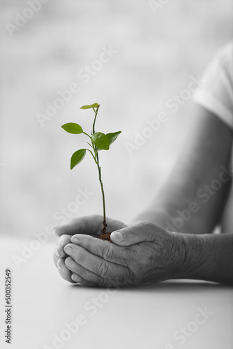 Elderly woman holding young...