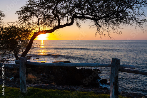 Sunset on The Lava Cliffs Below The Ala Kahakai Trail National Historic Trail, Hawaii Island, Hawaii, USA photo