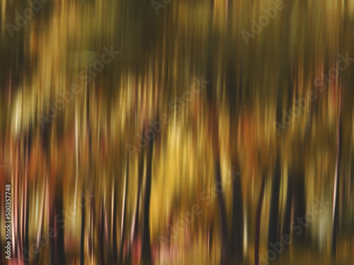 Abstract natural background, motion blur of tree in the forest at autumn season