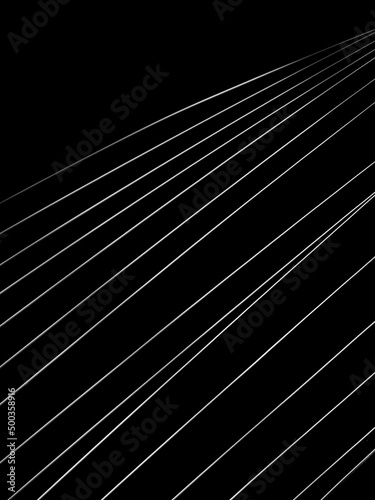 abstract lines edge of the palm leaf pattern, black and white style