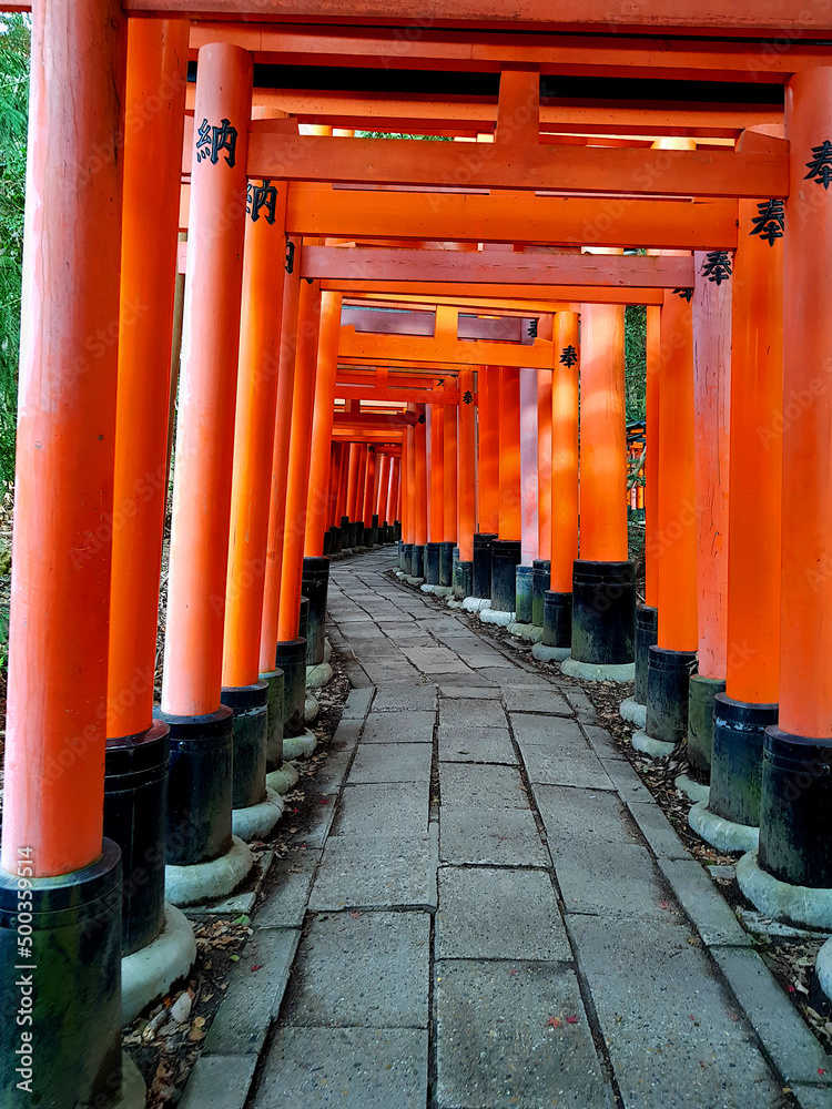 Torii Gates, Entrance of the Sacred Fushimi Inari Shinto Shrine Torii Gates, Entrance of the Sacred Fushimi Inari Shinto Shrine