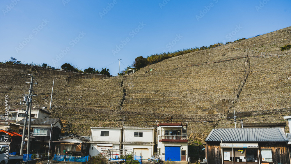 Fototapeta premium 愛媛県宇和島市 遊子水荷浦の段畑