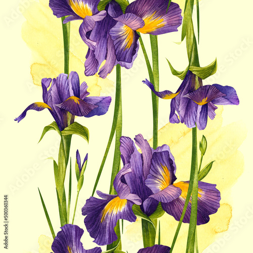 Pattern of irises and buds on a yellow background. Watercolor illustration.