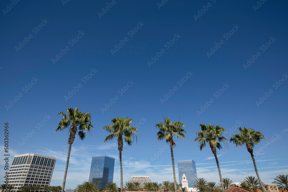 Daytime palm framed view of the Orange County downtown skyline of Irvine, California, USA.