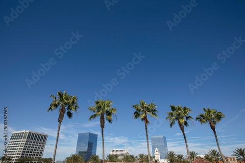 Daytime palm framed view of the Orange County downtown skyline of Irvine, California, USA. © Matt Gush
