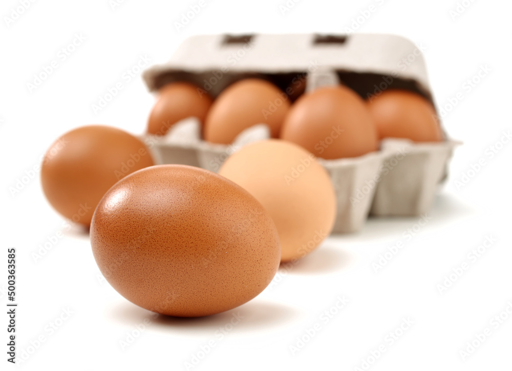 brown eggs on white background brown eggs on white background