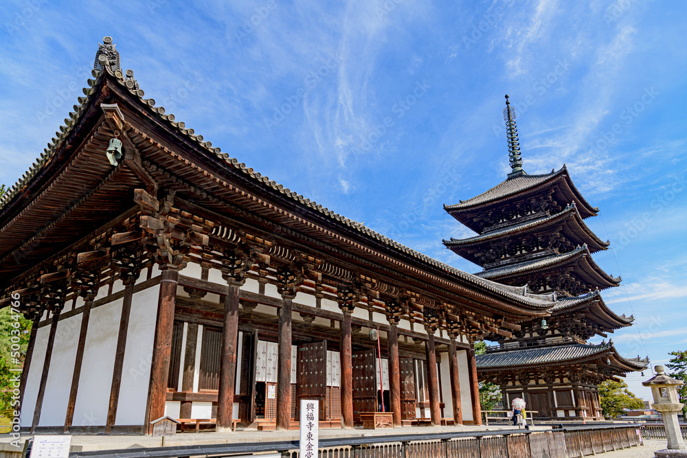 奈良 興福寺 東金堂と五重塔