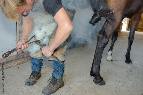 a man farrier applying horsehoe photo
