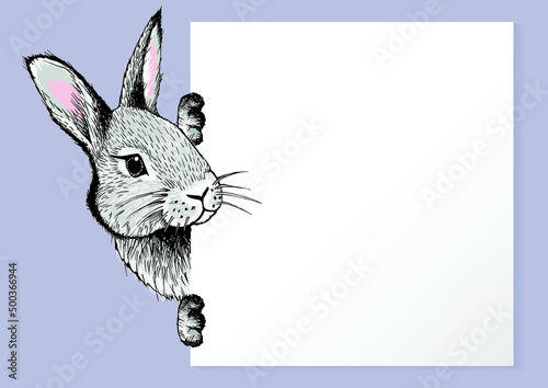 A cute fluffy rabbit peeks out of a white leaf. Space for text. Hand-drawn illustration with a pen.