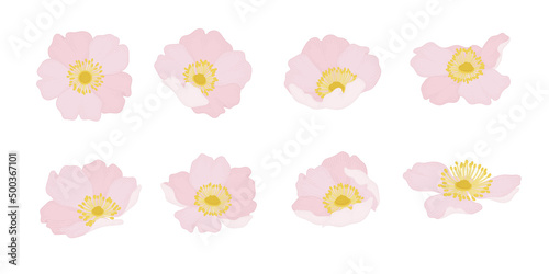 Set of pink wild rose blooming flowers illustration.