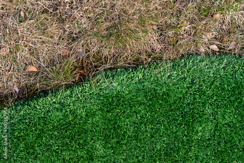 Artifical green grass and natural yellow lawn comparison texture background. Fake, not real, evergreen, beautiful turf seam on football field. Backyard and garden landscape design. Close up, space