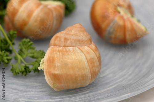 stuffed snails close-up