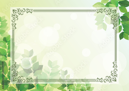 新緑　フレーム　夏　背景