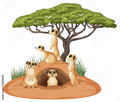 Group of meerkats with burrow in cartoon style