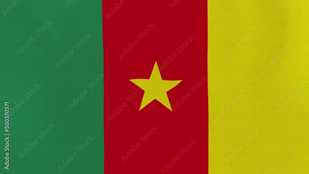 Loopable: Flag of Cameroon.
Cameroonian official flag gently waving in the wind. Highly detailed fabric texture for 4K resolution. 15 seconds loop. Loopable: Flag of Cameroon.
Cameroonian official flag gently waving in the wind. Highly detailed fabric texture for 4K resolution. 15 seconds loop.
