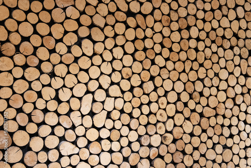 Background of cut round logs of wood.