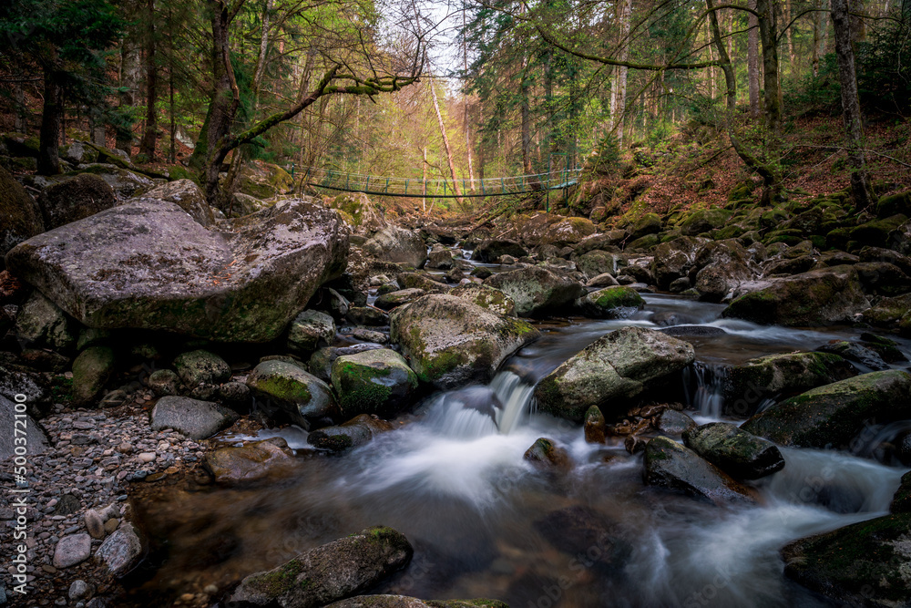 Moss stones in the river with suspension bridge in a mountain valley and green forest. Natural landscape torrent Buchberger Leite in the Bavarian Forest, Germany. Moss stones in the river with suspension bridge in a mountain valley and green forest. Natural landscape torrent Buchberger Leite in the Bavarian Forest, Germany.