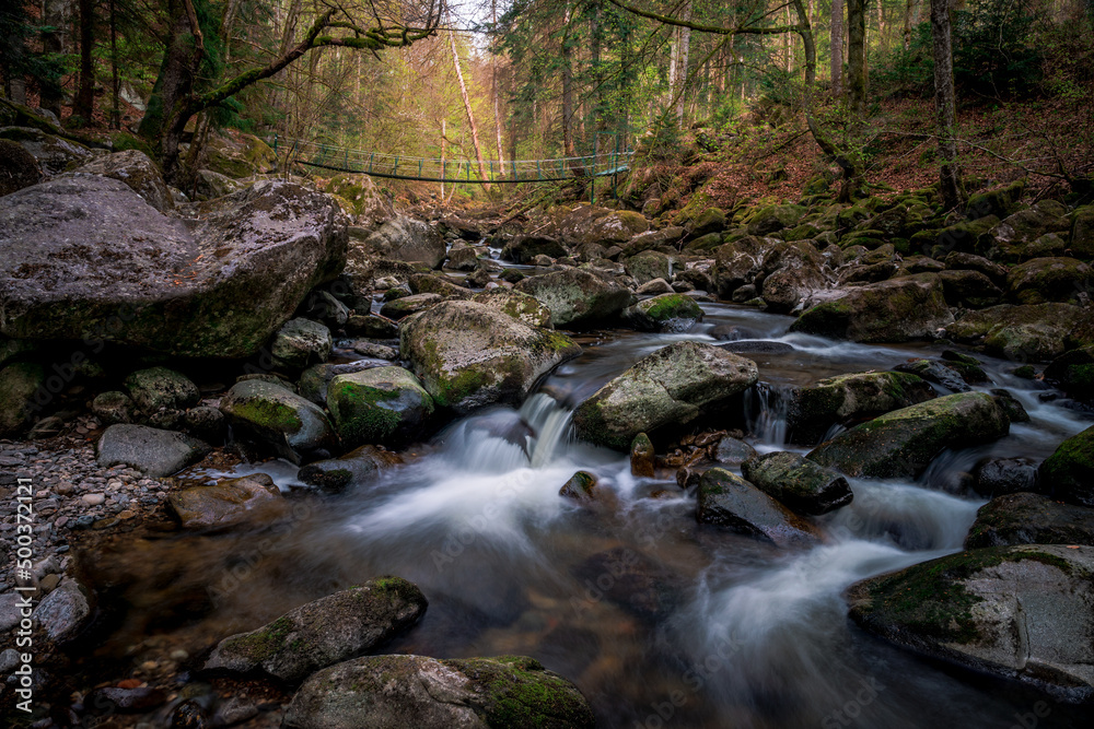 Moss stones in the river with suspension bridge in a mountain valley and green forest. Natural landscape torrent Buchberger Leite in the Bavarian Forest, Germany.