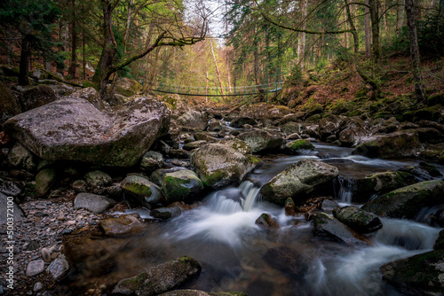 Moss stones in the river with suspension bridge in a mountain valley and green forest. Natural landscape torrent Buchberger Leite in the Bavarian Forest, Germany.