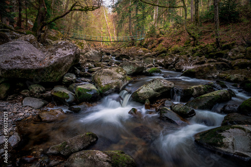 Moss stones in the river with suspension bridge in a mountain valley and green forest. Natural landscape torrent Buchberger Leite in the Bavarian Forest  Germany.