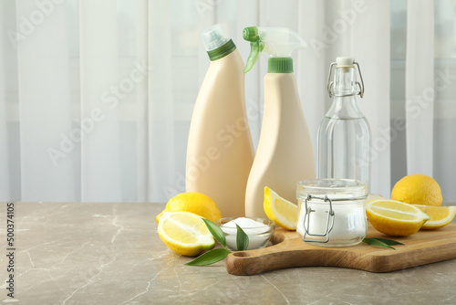 Concept of household cleaners, space for text