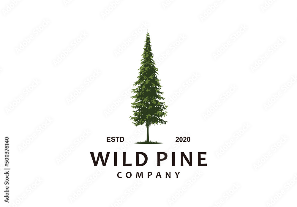 wild pine forest logo illustration
