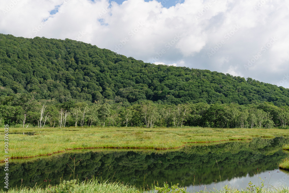 夏の尾瀬で撮影した緑が生い茂る山と、その山が映る池（水鏡）