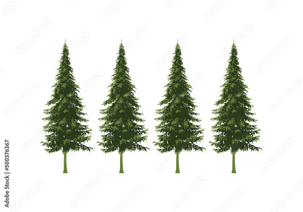 pine tree design illustration