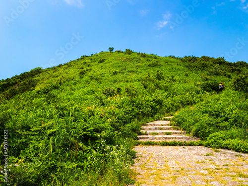 Well-maintained path in a mountain with fresh green (Mt.Yahiko, Yahiko, Niigata, Japan)