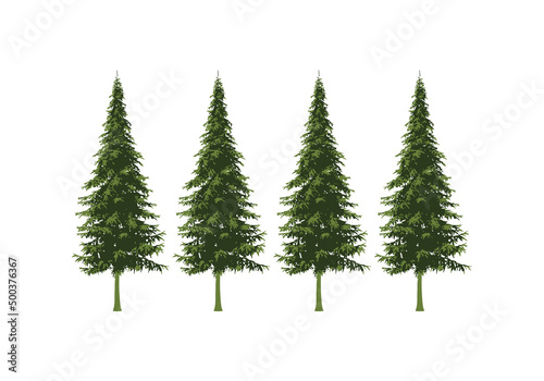 pine tree design illustration