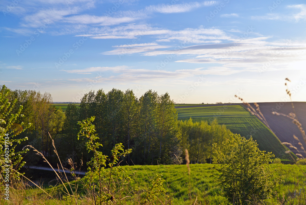 Beautiful landscape, view of the village, fields and meadows. The trees, the grass, the setting sun.