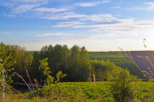 Obraz na płótnie Beautiful landscape, view of the village, fields and meadows. The trees, the grass, the setting sun. w salonie